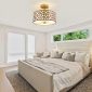 Modern Flush Mount Ceiling Light with Double Shade Gold bed room