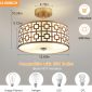 Modern Flush Mount Ceiling Light with Double Shade Gold dimension