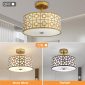 Modern Flush Mount Ceiling Light with Double Shade Gold mode